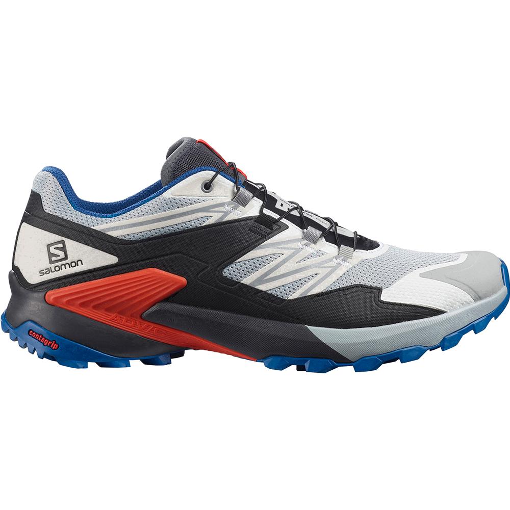 SALOMON WINGS SKY Philippines - Men's Running Shoes - Blue | 741536-YWG